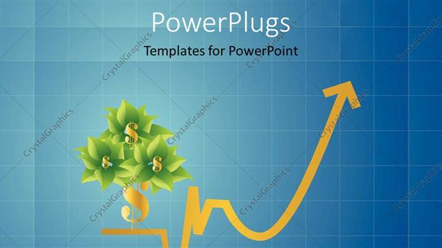  Presentation with investment - A number of flowers with dollar sign and bluish background