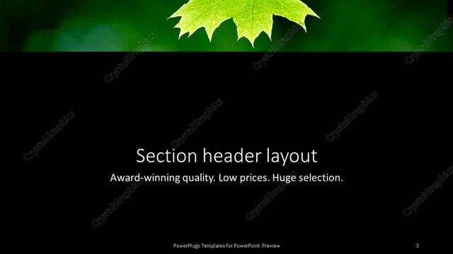 Section Header presentation slide layout