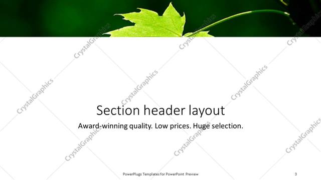 Section Header presentation slide layout