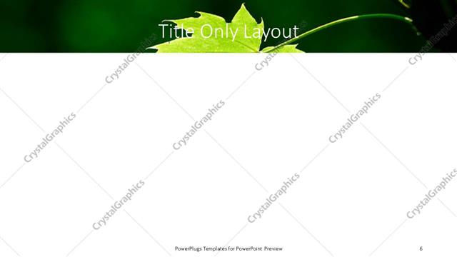 Title Only presentation slide layout