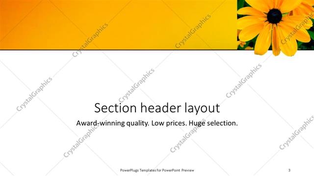 Section Header presentation slide layout