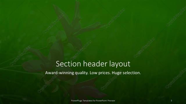 Section Header presentation slide layout