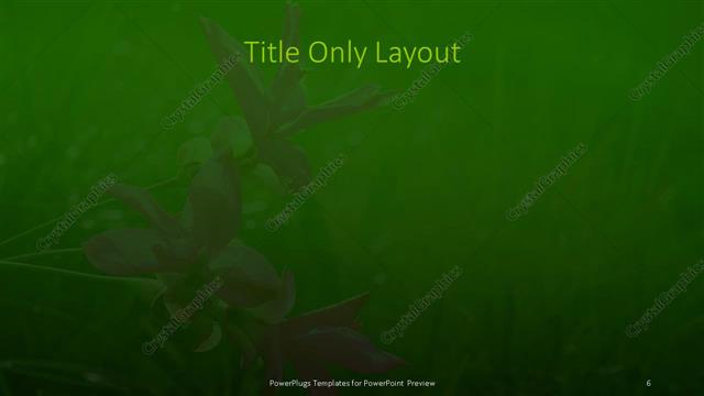 Title Only presentation slide layout