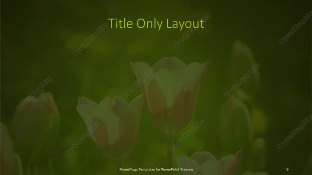Title Only presentation slide layout