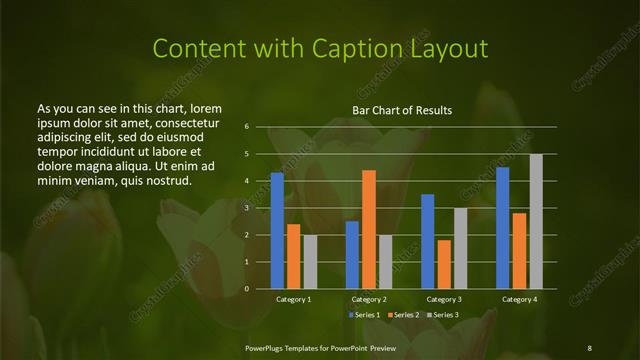 Content with Caption presentation slide layout