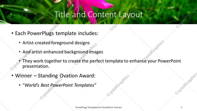 Title and Content presentation slide layout