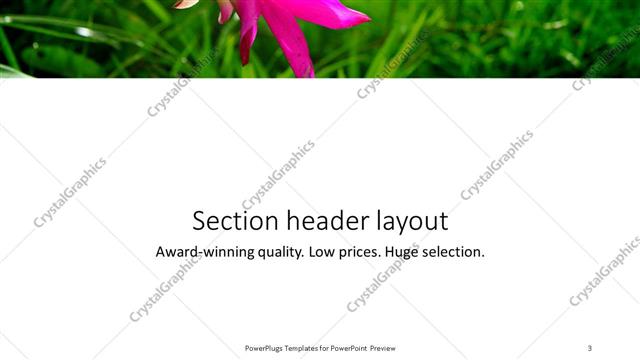 Section Header presentation slide layout
