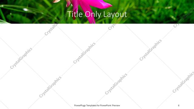 Title Only presentation slide layout