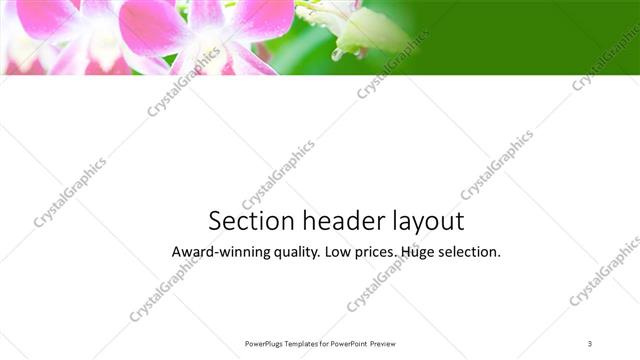 Section Header presentation slide layout