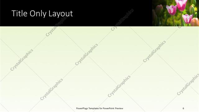 Title Only presentation slide layout