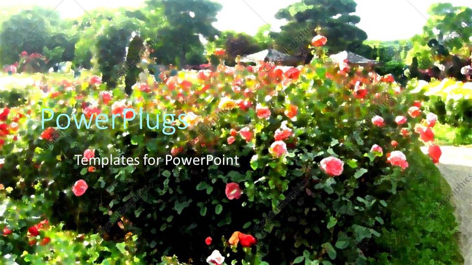 Premium Template for PowerPoint & Google Slides 