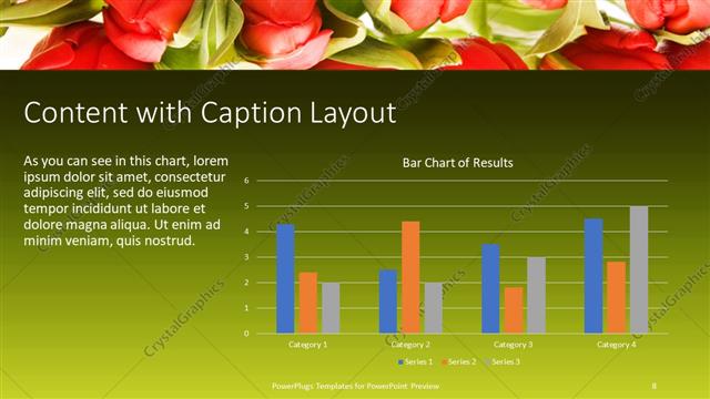 Content with Caption presentation slide layout