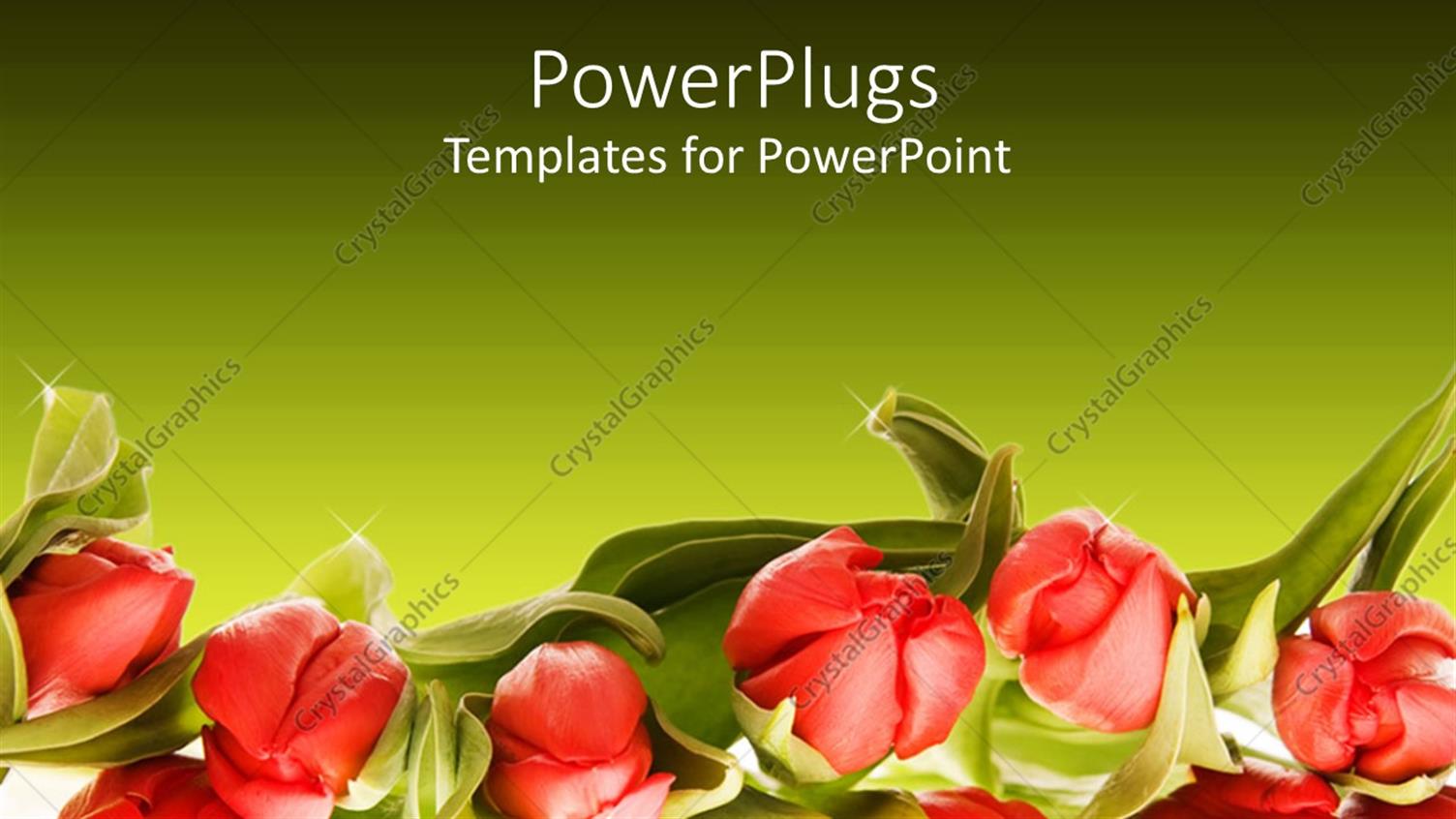 Premium Template for PowerPoint & Google Slides 