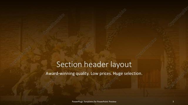 Section Header presentation slide layout