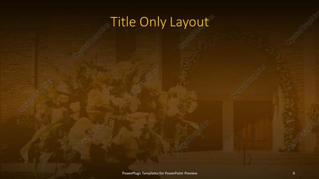 Title Only presentation slide layout