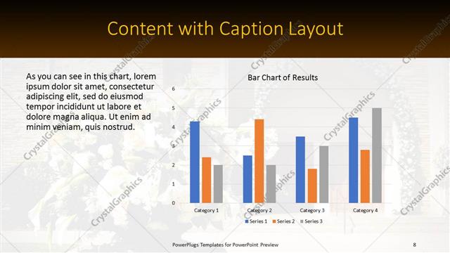 Content with Caption presentation slide layout
