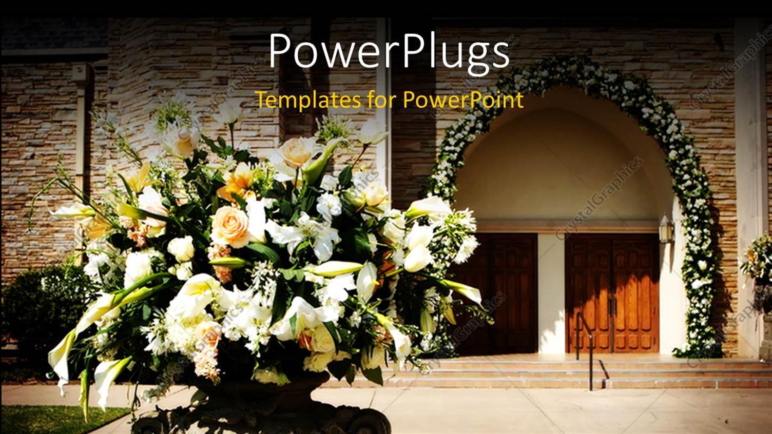 Premium Template for PowerPoint & Google Slides 