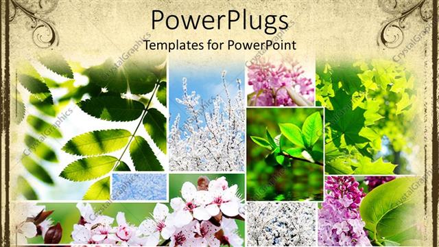  Presentation with springtime - A number of flowers and leaves in various pictures