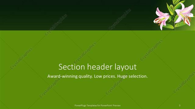 Section Header presentation slide layout