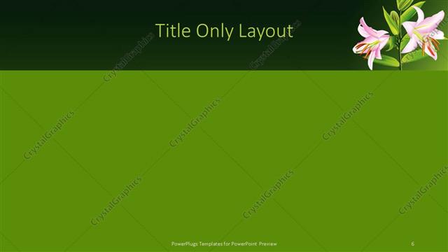 Title Only presentation slide layout