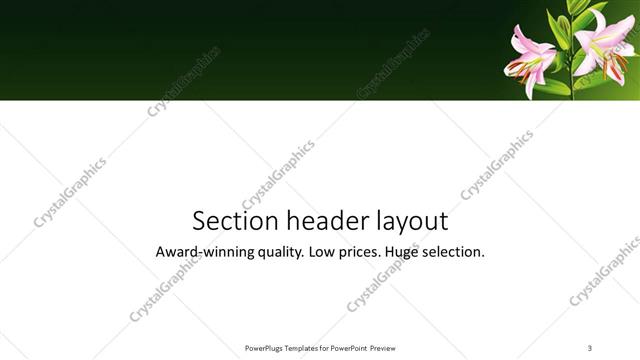 Section Header presentation slide layout