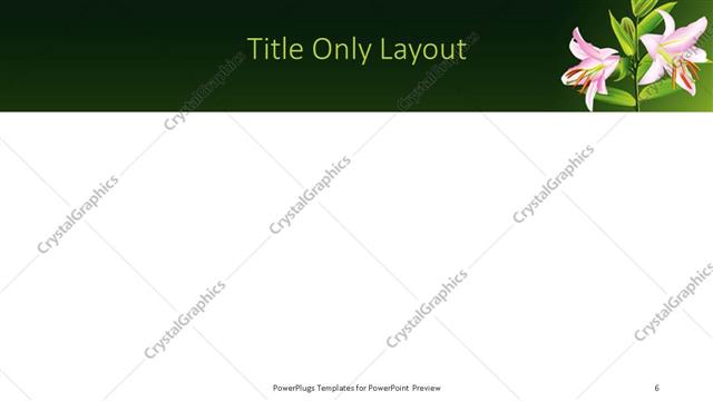 Title Only presentation slide layout