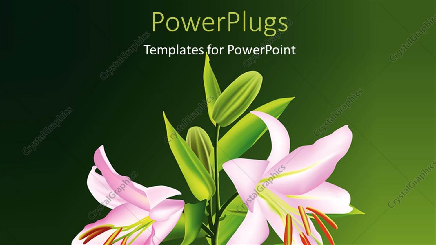 Premium Template for PowerPoint & Google Slides 