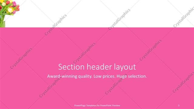 Section Header presentation slide layout