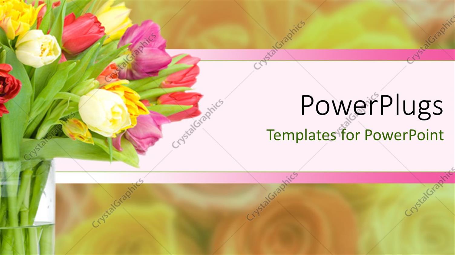 Premium Template for PowerPoint & Google Slides 