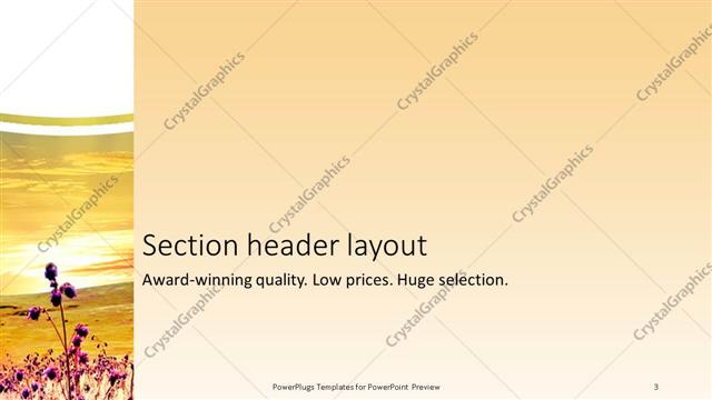 Section Header presentation slide layout