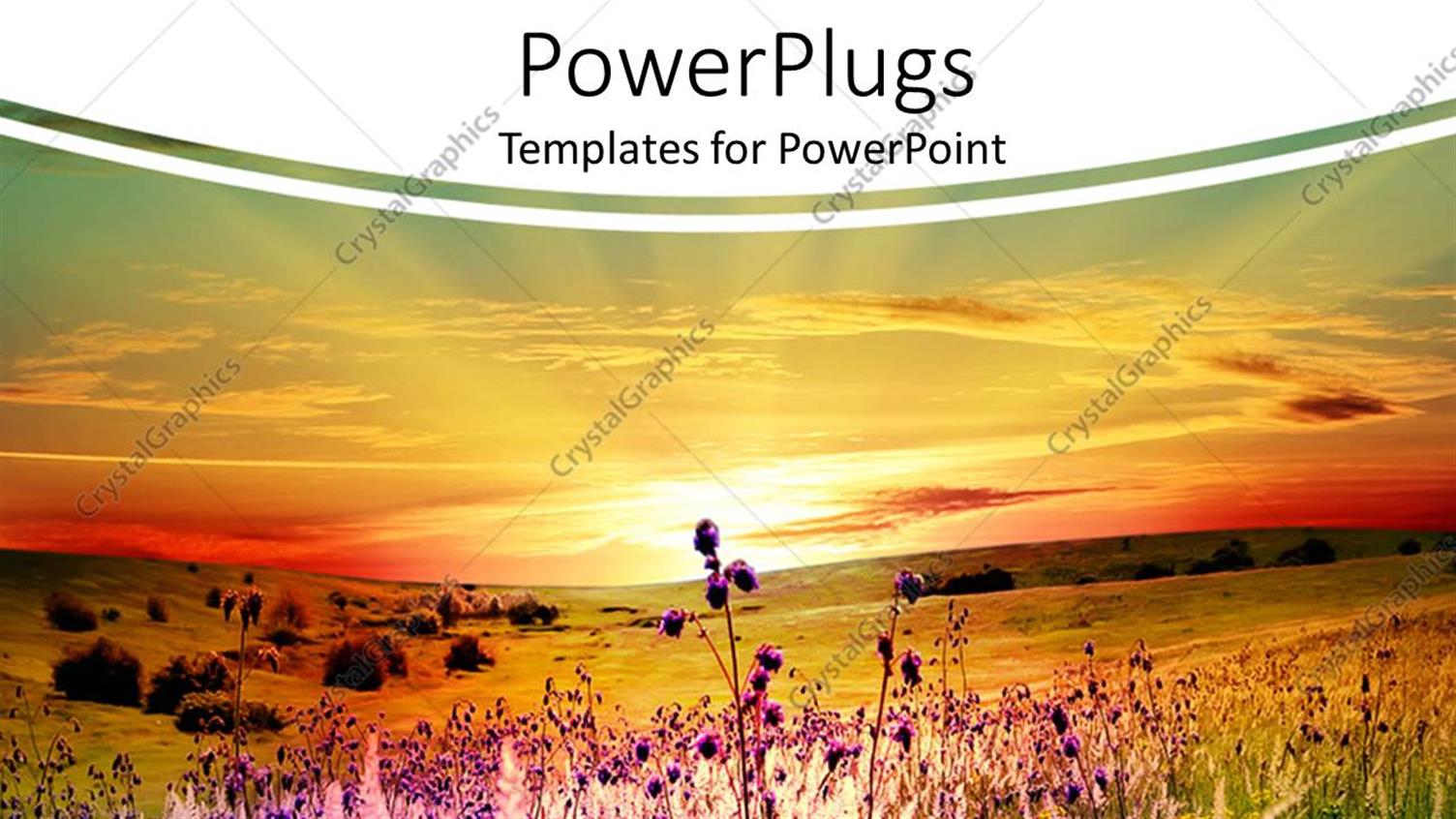 Premium Template for PowerPoint & Google Slides 