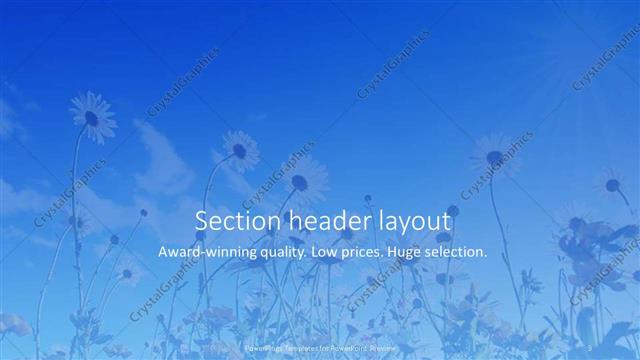 Section Header presentation slide layout