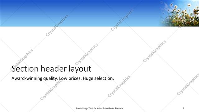 Section Header presentation slide layout