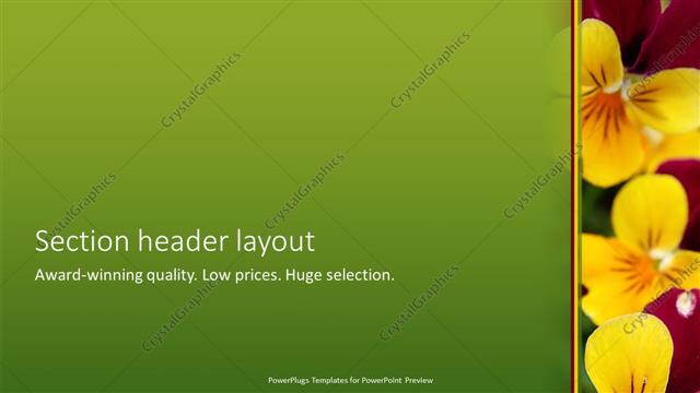 Section Header presentation slide layout