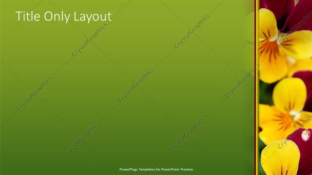 Title Only presentation slide layout