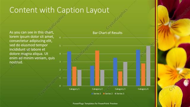 Content with Caption presentation slide layout