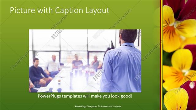 Picture with Caption presentation slide layout