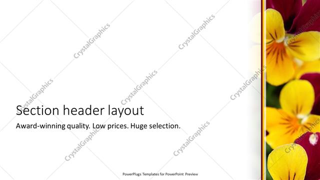 Section Header presentation slide layout