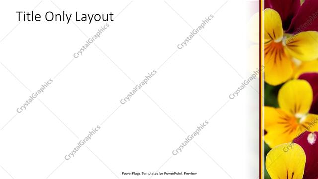 Title Only presentation slide layout