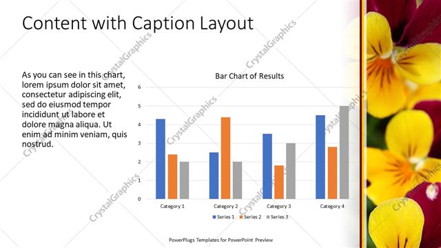 Content with Caption presentation slide layout
