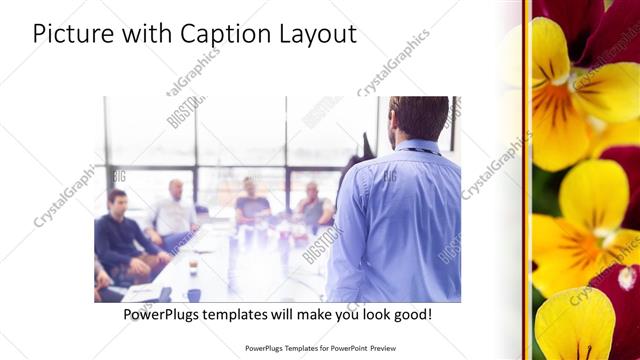 Picture with Caption presentation slide layout