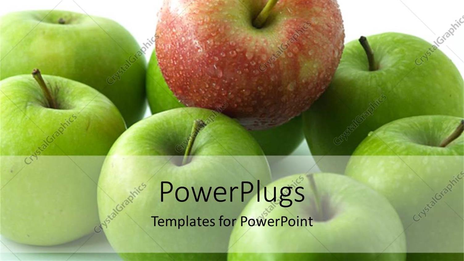 Premium Template for PowerPoint & Google Slides 