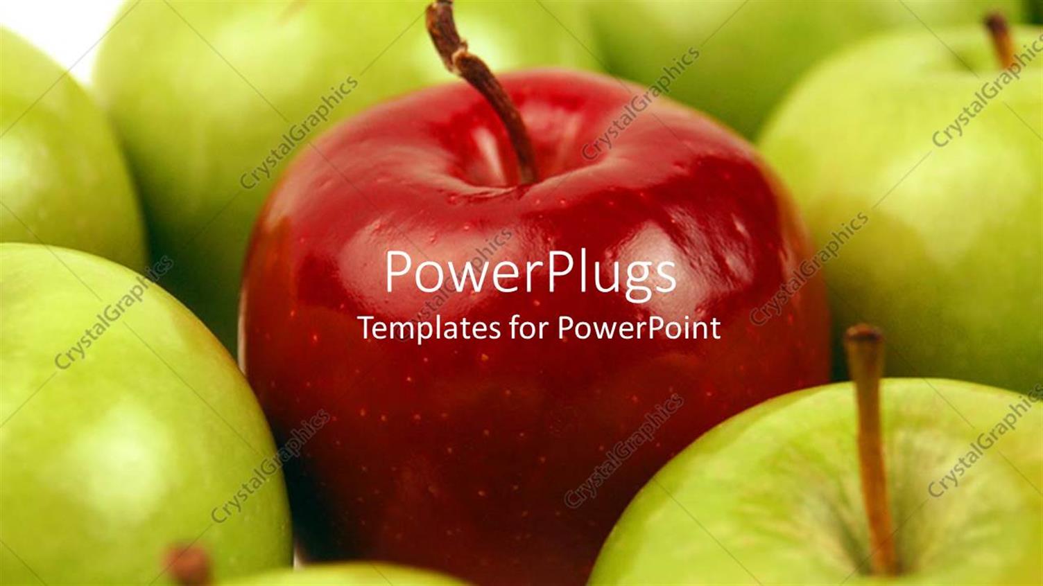 Premium Template for PowerPoint & Google Slides 