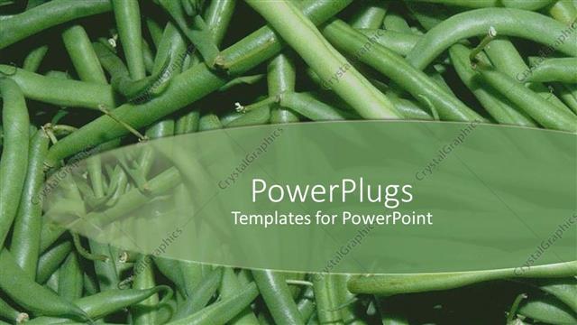  Presentation with beans - A number of green beans with place for text