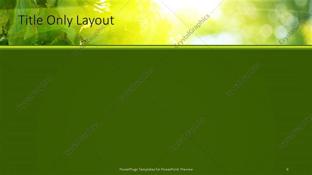 Title Only presentation slide layout