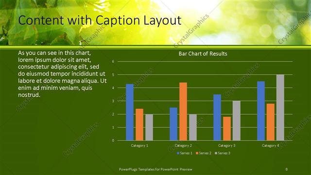 Content with Caption presentation slide layout