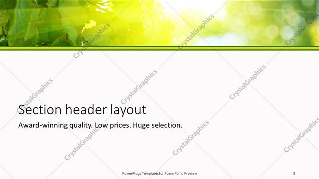 Section Header presentation slide layout