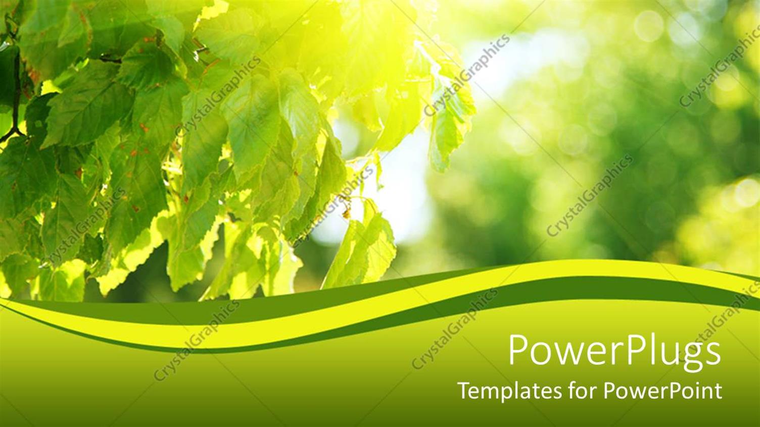 Premium Template for PowerPoint & Google Slides 