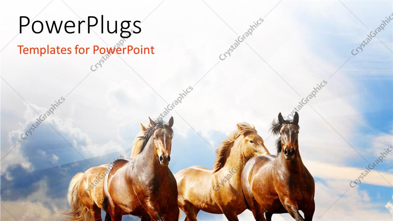 Premium Template for PowerPoint & Google Slides 