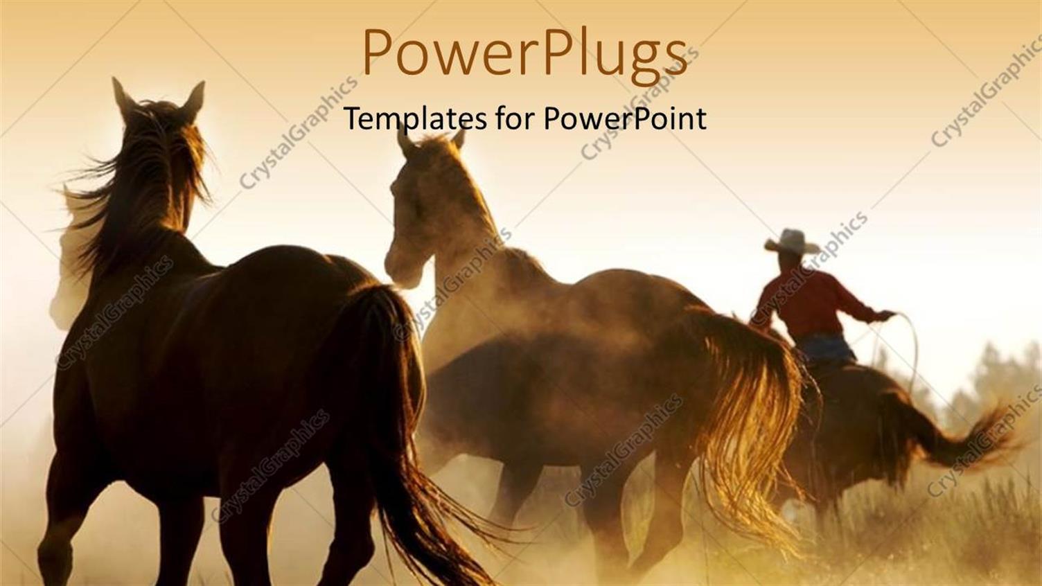 Premium Template for PowerPoint & Google Slides 